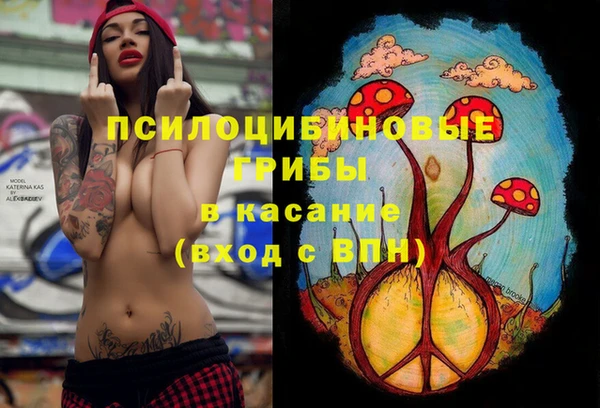 mdpv Арсеньев