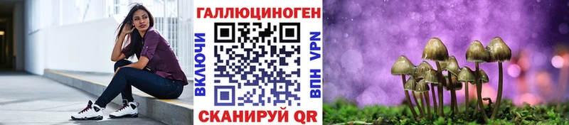 купить Кущёвская Псилоцибиновые грибы мухоморы